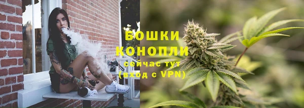 тгк Костерёво