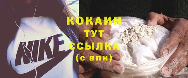 стаф Коряжма