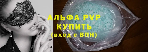 шишки Корсаков