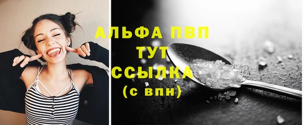 шишки Корсаков