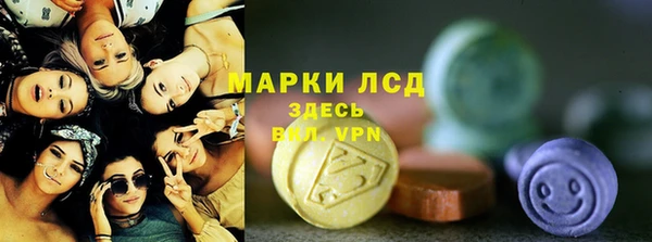 шишки Корсаков
