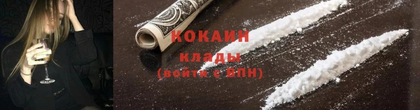 шишки Корсаков