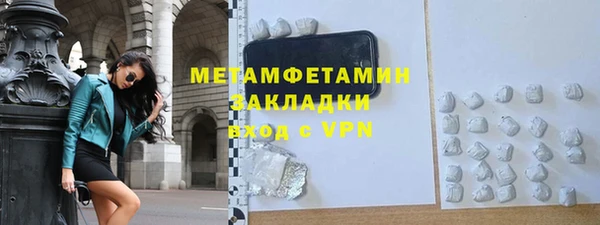 шишки Корсаков