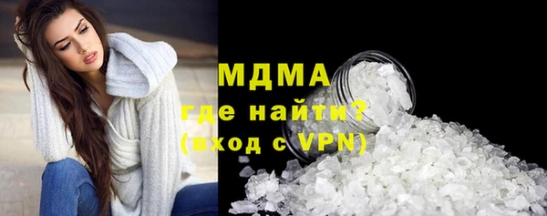 шишки Корсаков