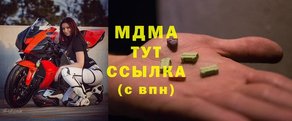 шишки Корсаков