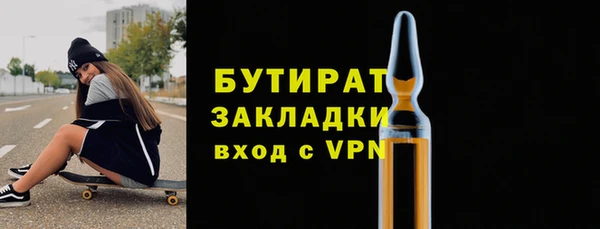 шишки Корсаков