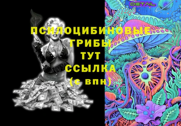 стаф Коряжма