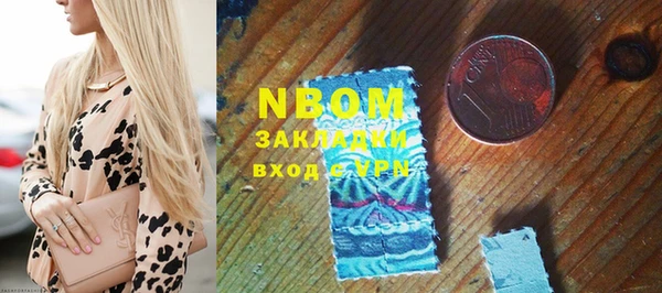 шишки Корсаков