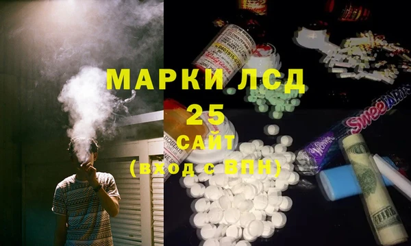 шишки Корсаков