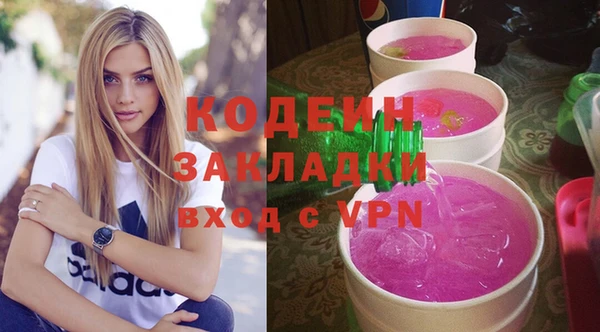 шишки Корсаков