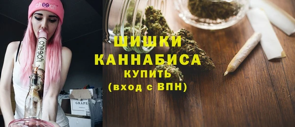 шишки Корсаков