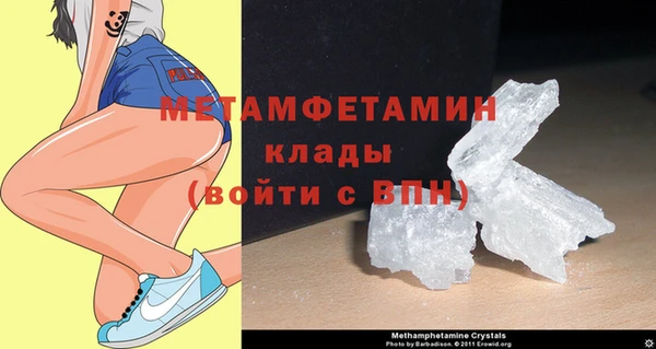 шишки Корсаков