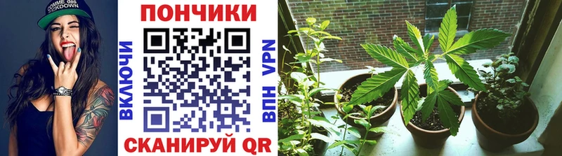 Марихуана Bruce Banner  Купить закладки  Елизаветинская 